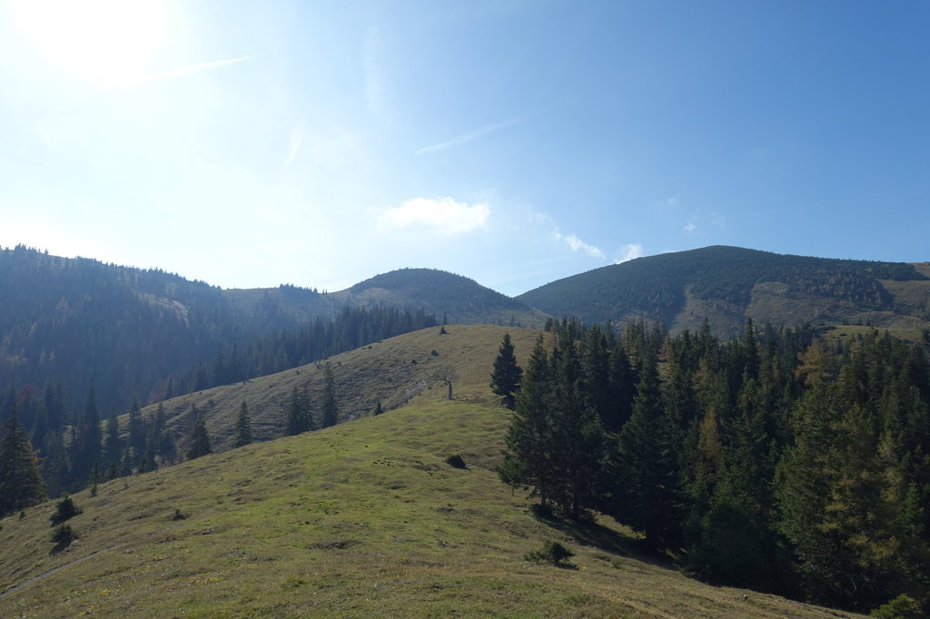 Über der Baumgrenze herrscht Almlandschaft vor. Foto: Martin Heppner