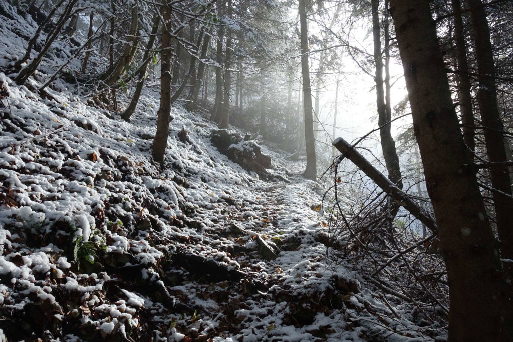 Die Sonne kommt noch nicht richtig durch den Nebel durch
