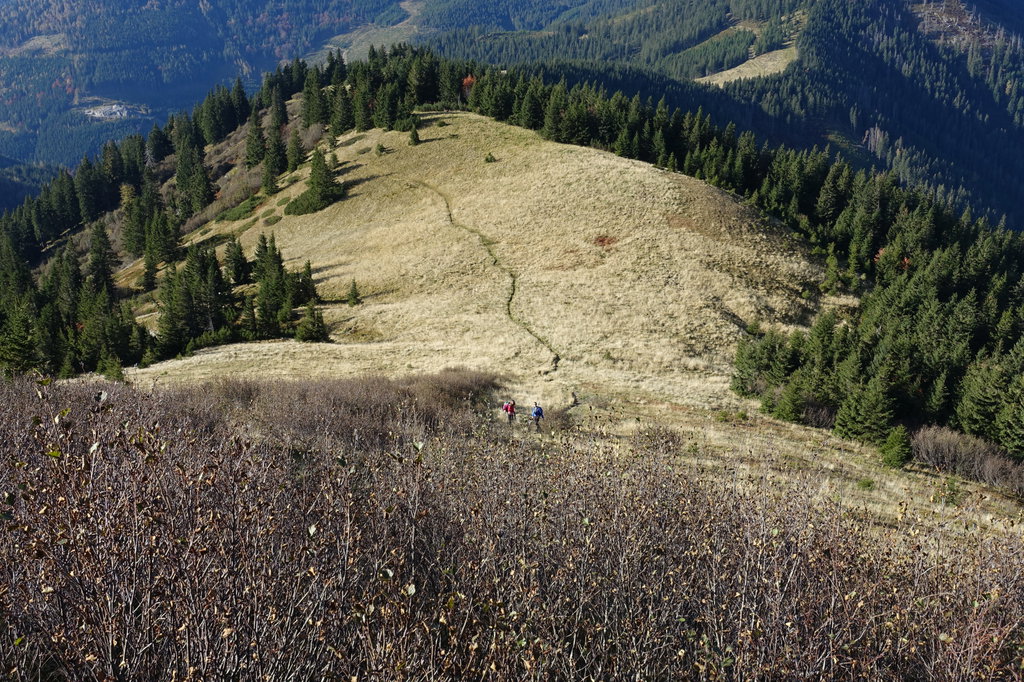 Nach dem Teufelssteig geht es wieder flach auf Almenland dahin. Foto: Martin Heppner