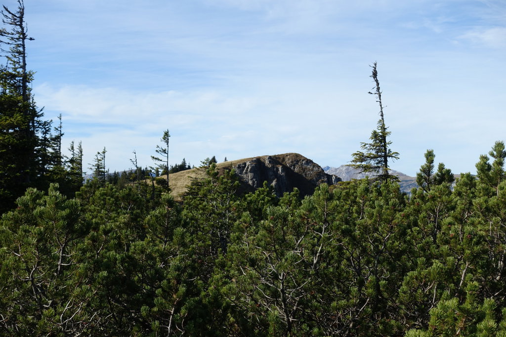 Gipfel des Turntaler Kogel. Foto: Martin Heppner