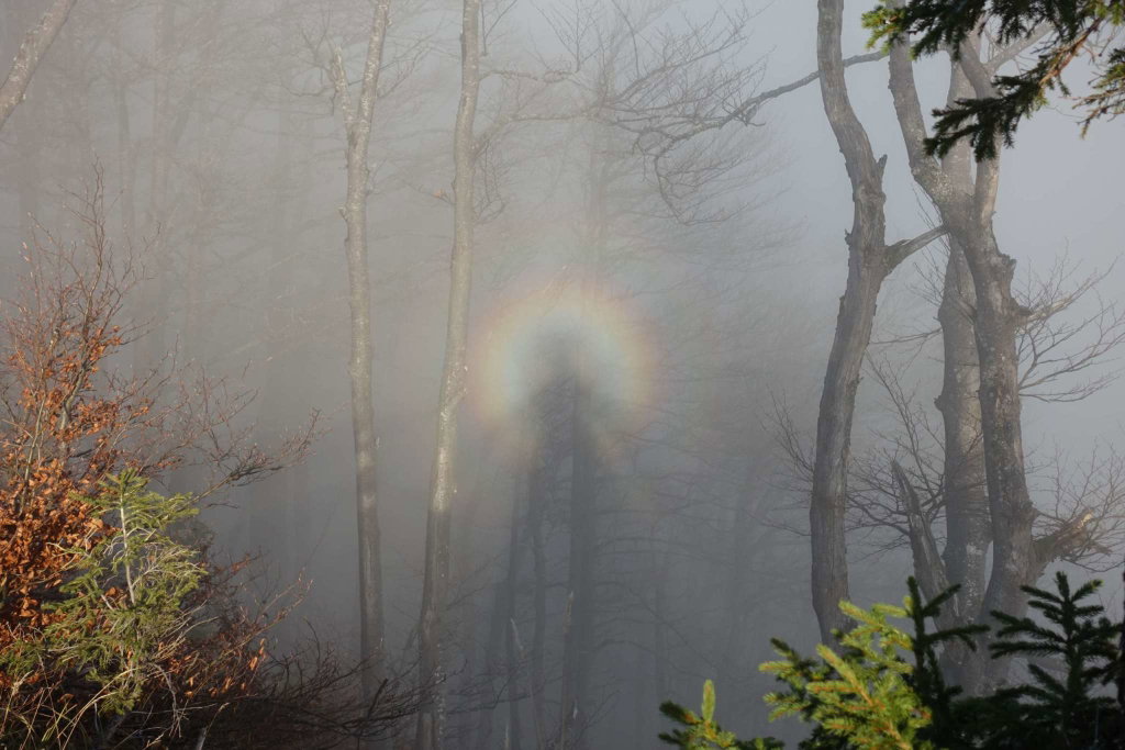 Glorie: Mit der Sonne hinter uns wird im Nebel eine Glorie erzeugt!