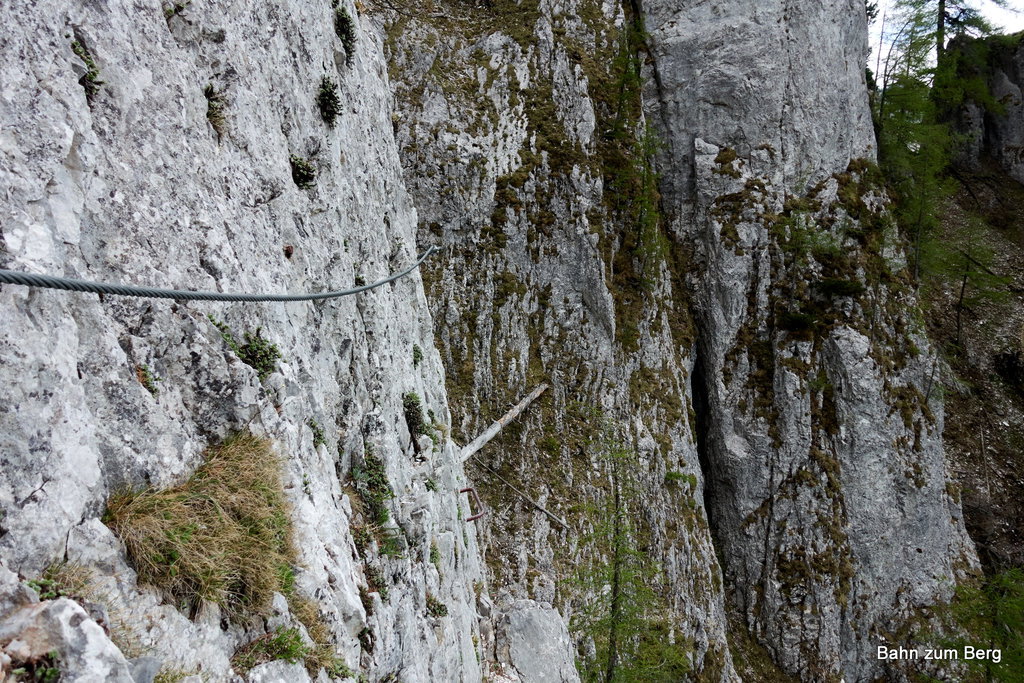 Foto: Martin Heppner