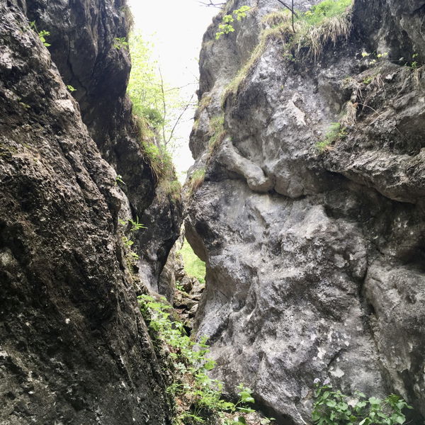 Durch die wildromantische Weichtalklamm