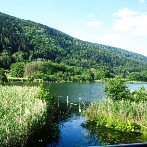 Ossiacher See. Foto: Birgit Frank