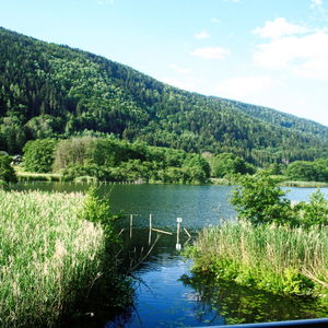 Vom Ossiacher See zum Wörthersee