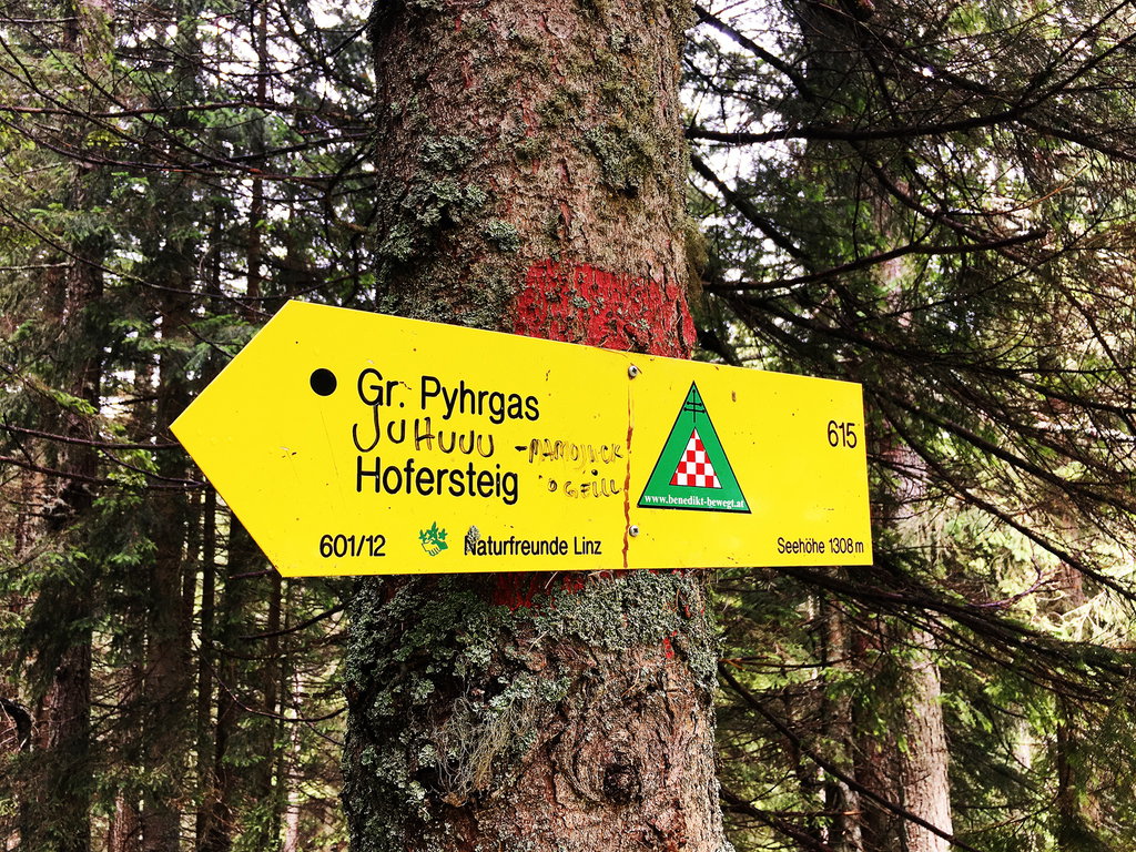 Gr. Pyhrgas via Hofersteig (Foto: Stefan Hochhold)