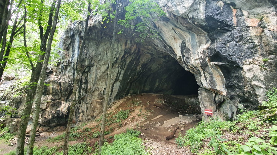 Drachenhöhle. Alexander Flicker