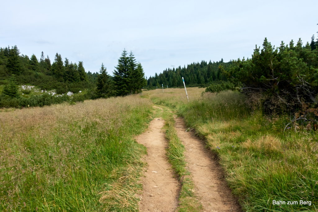 Blaue Markierungen zur Höllentalaussicht. Foto: Martin Heppner