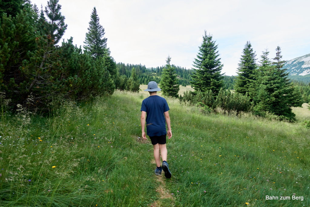 Vor der großen Wiese. Foto: Martin Heppner
