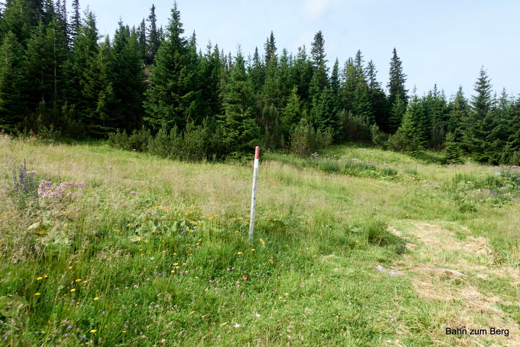Am Ende der Wiese nach links. 3 Stecken weit. Foto: Martin Heppner