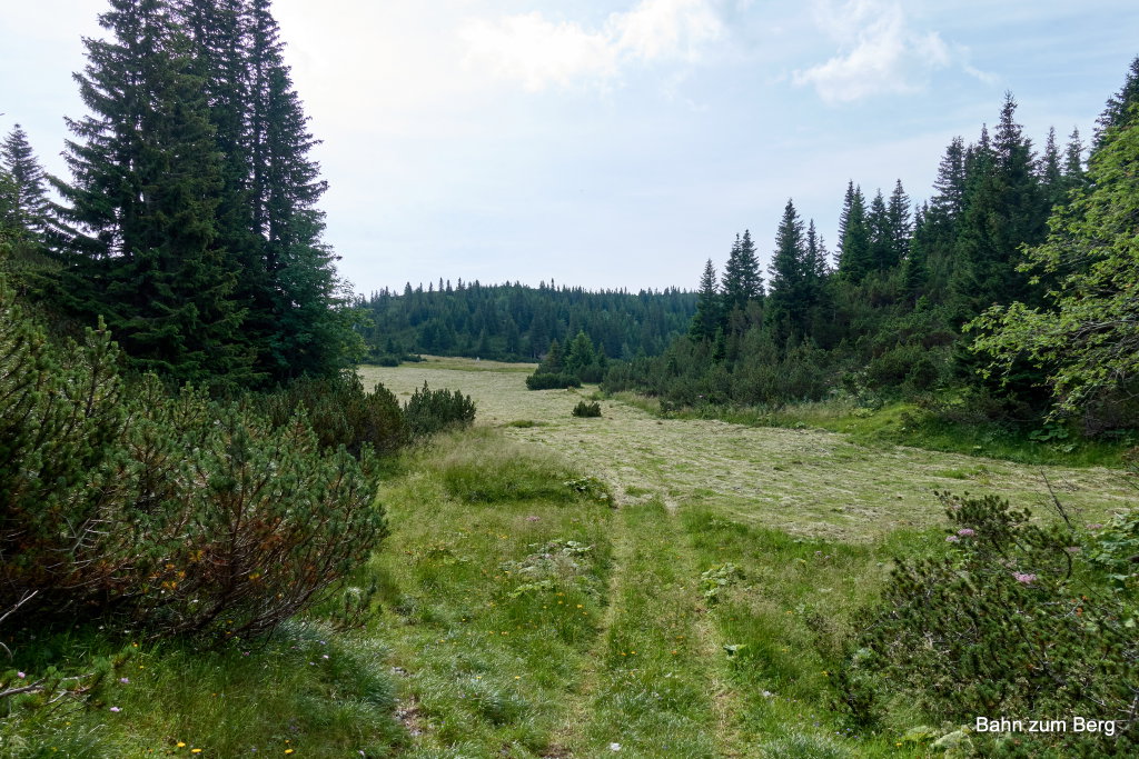 Hinten ist der Stein am Seeweg zu sehen. Foto: Martin Heppner