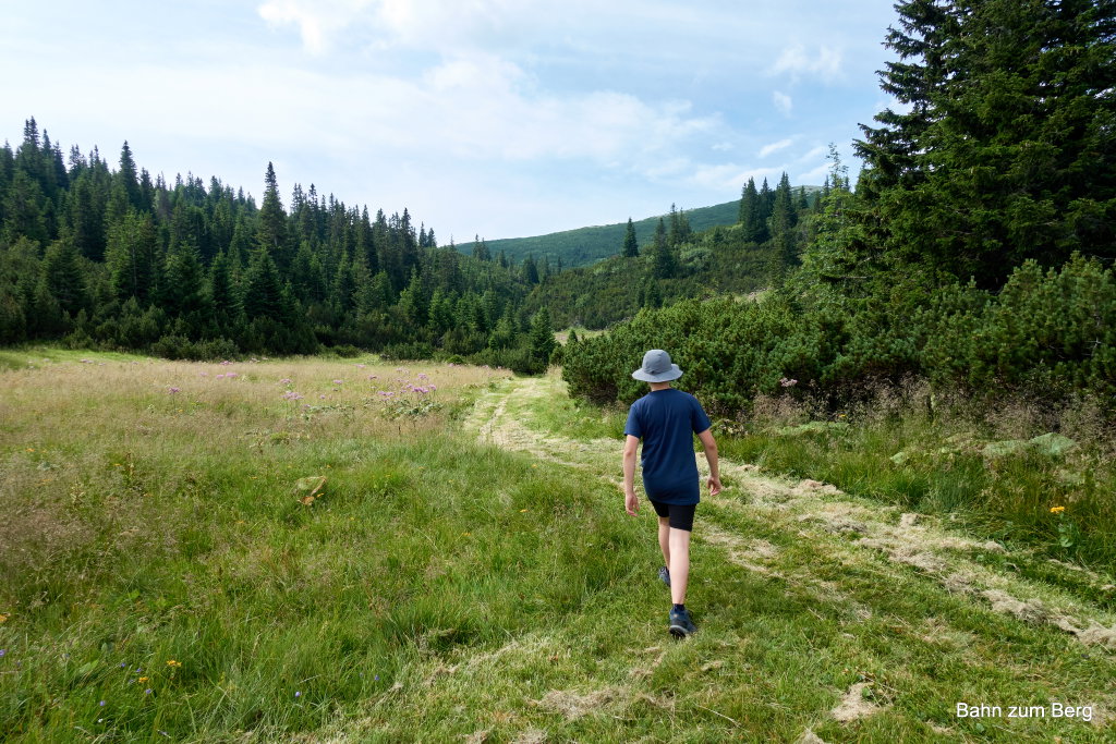 Einbiegen auf den Weg zwischen Weißkogel und Jakobskogel. Foto: Martin Heppner