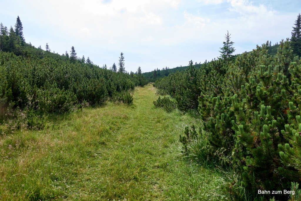 Weg zwischen Weißkogel und Jakobskogel. Foto: Martin Heppner