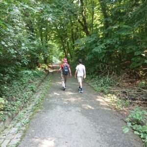 Stadtwanderweg 2 über den Hermannskogel