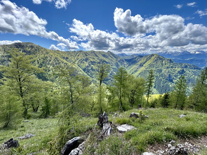 Am Weg und am Gipfel des Gamssteins. Fotos Veronika Schöll