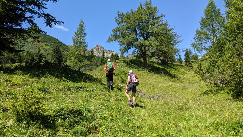 Nach der Aigelsbrunnalm Richtung Leobner Törl. Foto: Martin Heppner