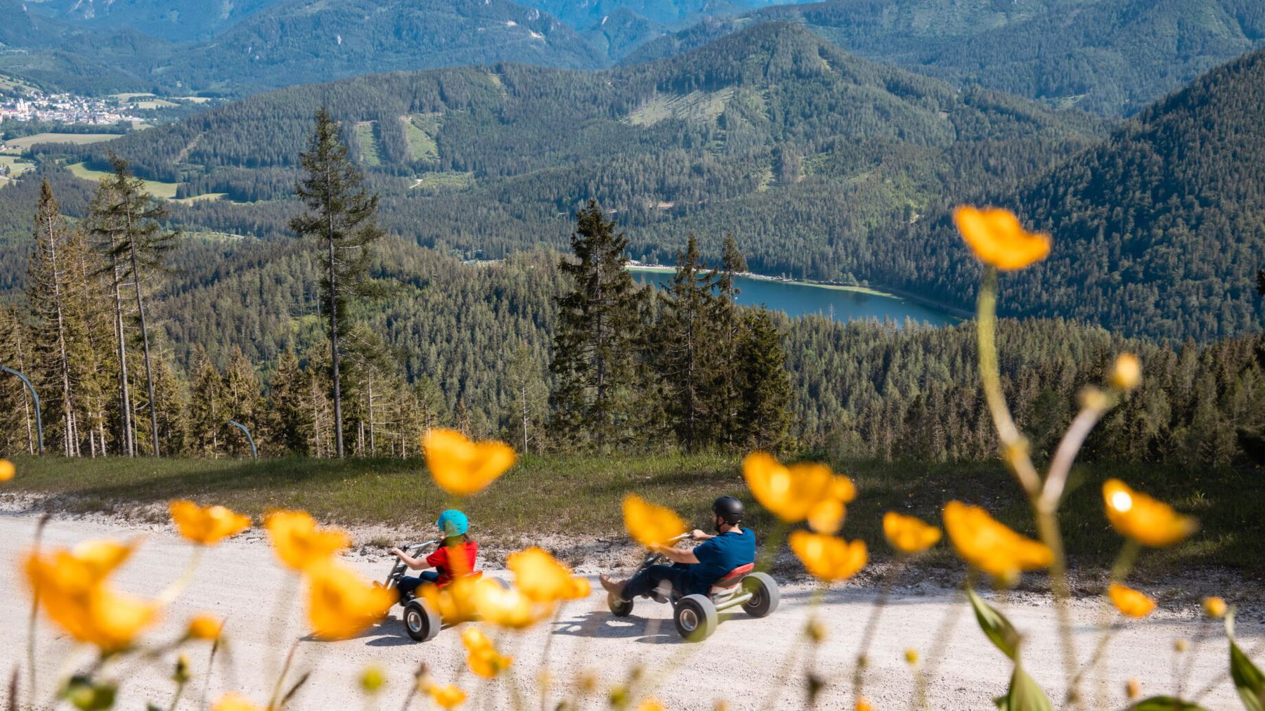 Gemeindealpe Mountaincarts. Foto: Bergbahnen Mitterbach Lindmoser