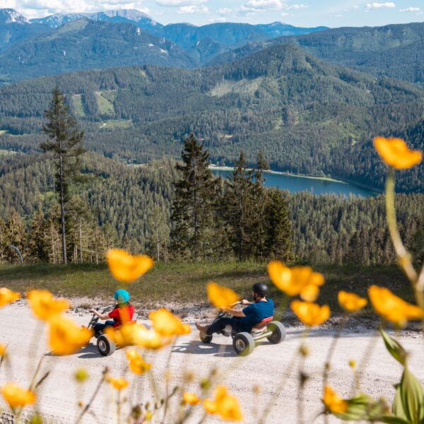 Gemeindealpe Mountaincarts. Foto: Bergbahnen Mitterbach Lindmoser