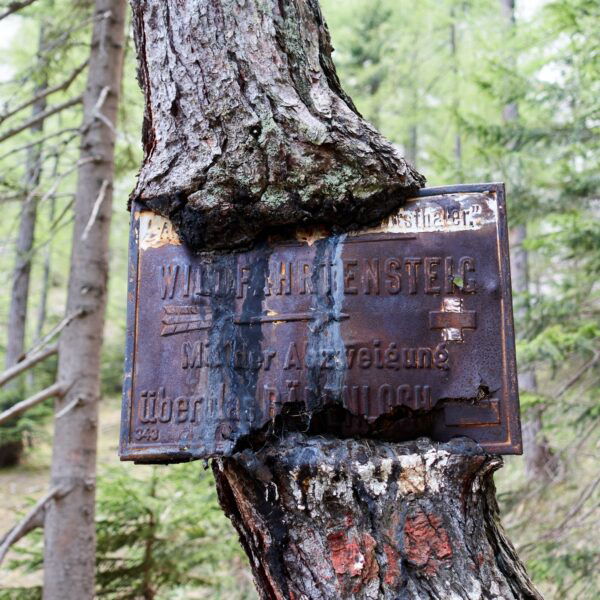 Zustieg Wildfährte