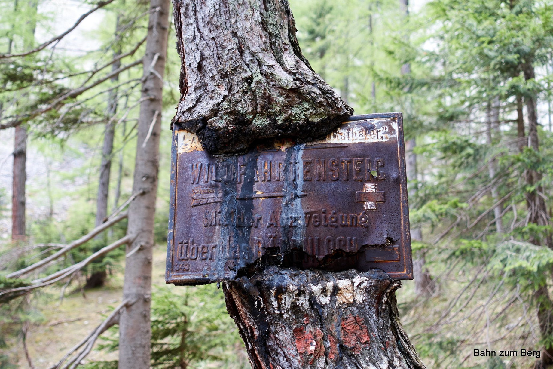 Zustieg Wildfährte