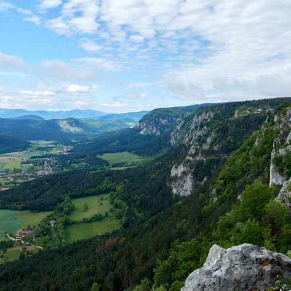Blick die Hohe Wand entlang nach Süden