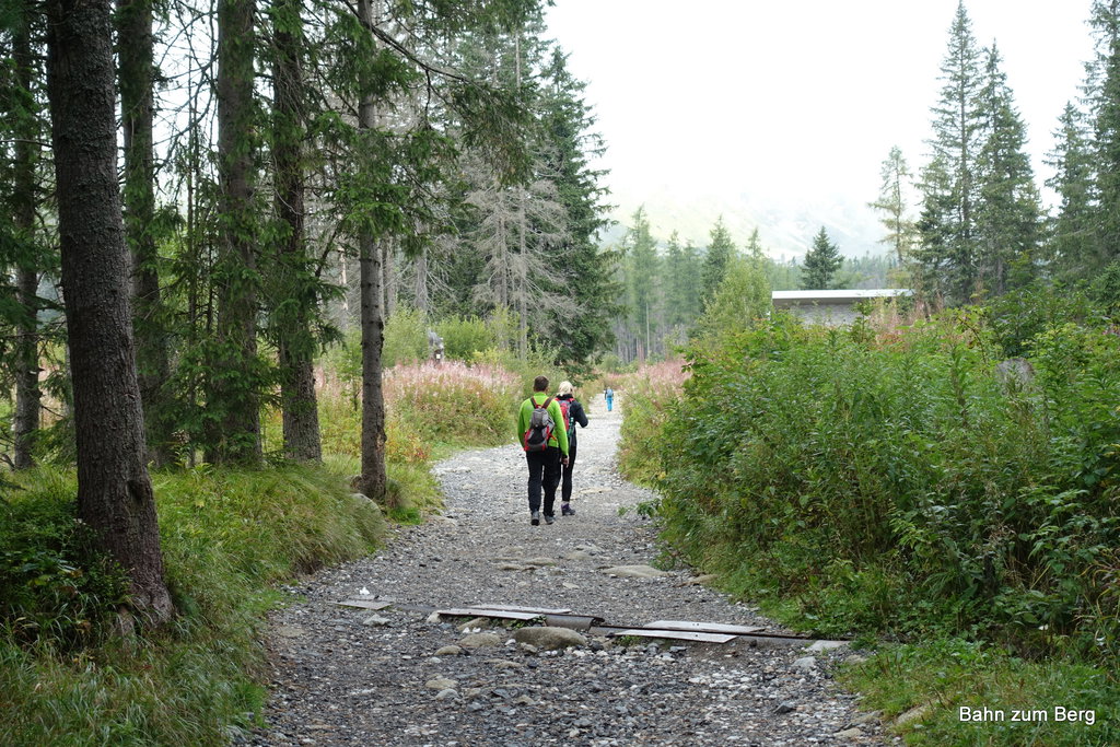 Gepflasterter Weg