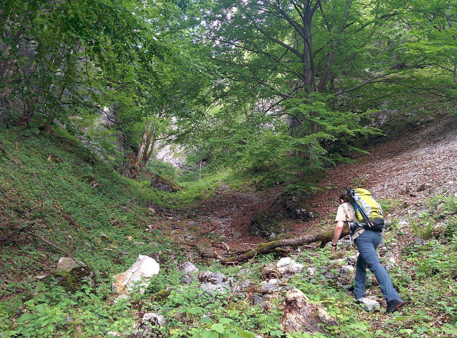 Großes Wolfstal & Brandschneide