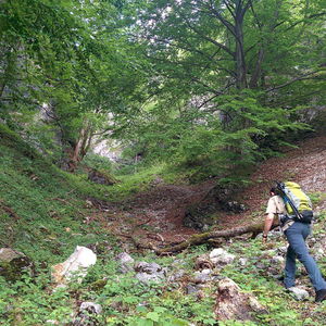 Großes Wolfstal & Brandschneide