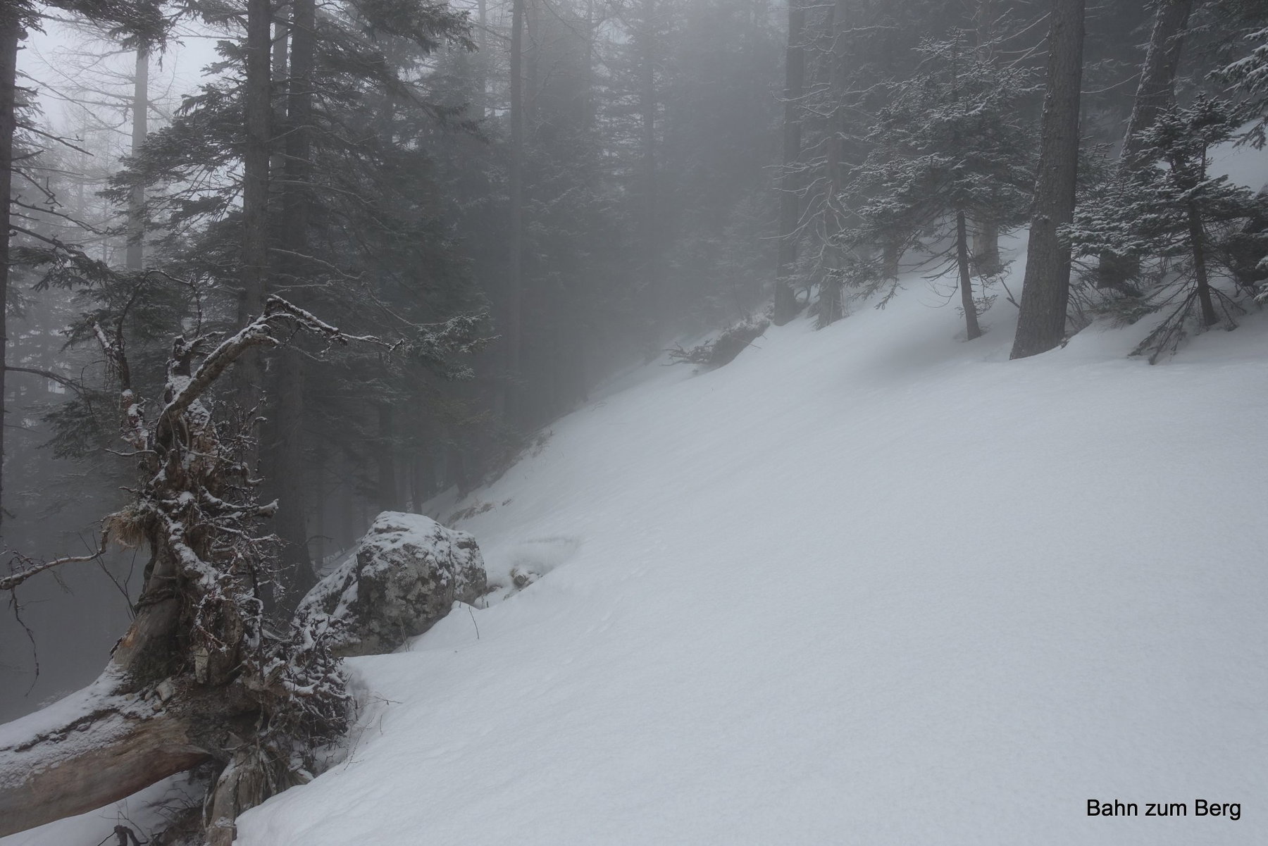 Ab der Handlalm isr es steil und neblig.