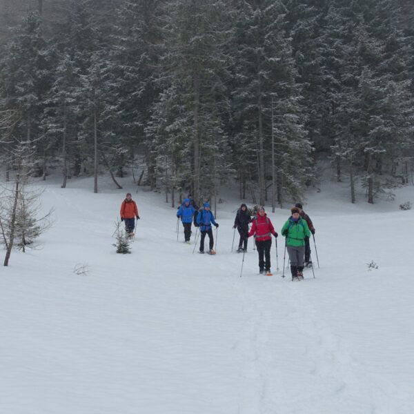 Schneeschuhwandern wie es sein soll