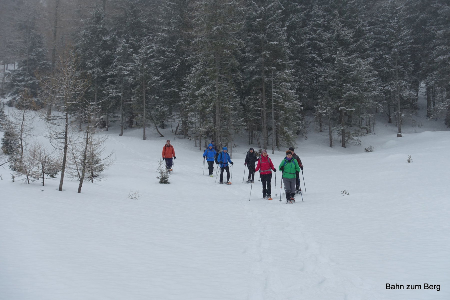 Schneeschuhwanderung zum Grünen See