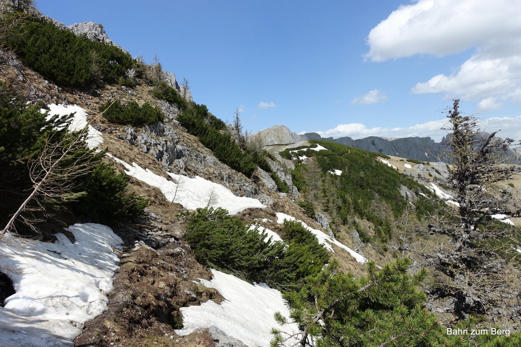 Der Weg über die Mitteralm ist weitgehend flach, nur kurze Strecken verlaufen unterhalb des Kamms.