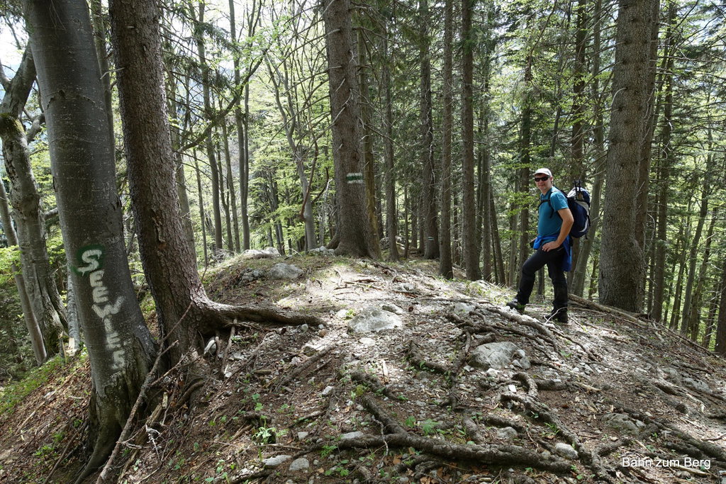 Abstieg durch den steilen Wald nach Seewiesen.