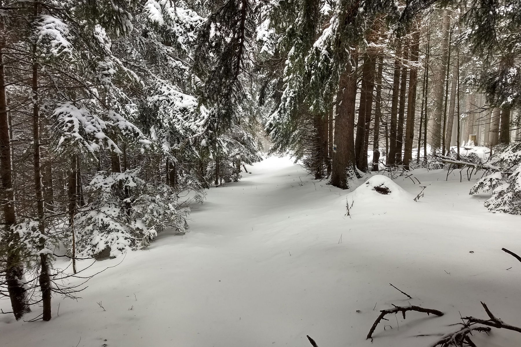 Winterspaziergang über den Gahns