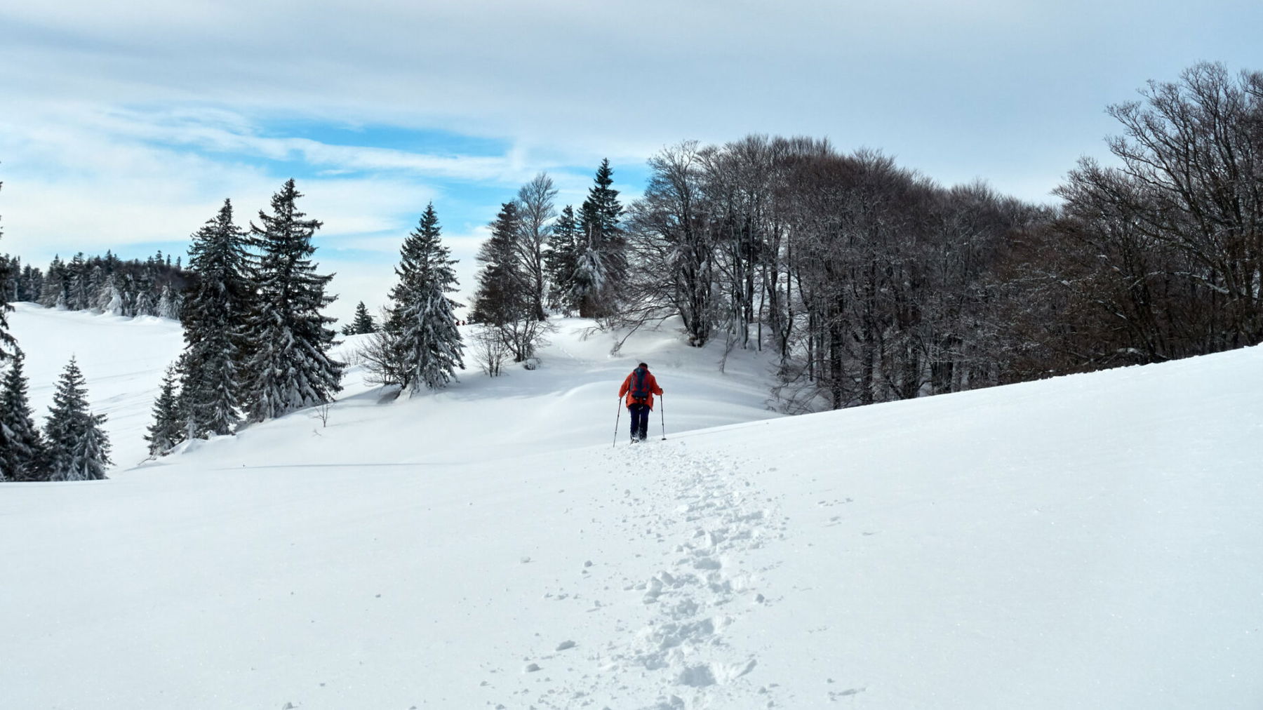 Kurz vor der Hütte, bzw. dem Gipfel des Eisensteins. So sieht Schneeschuhwandern aus!