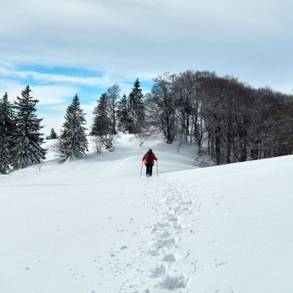 Kurz vor der Hütte, bzw. dem Gipfel des Eisensteins. So sieht Schneeschuhwandern aus!