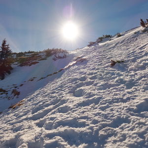 Der Fadensteig am Schneeberg