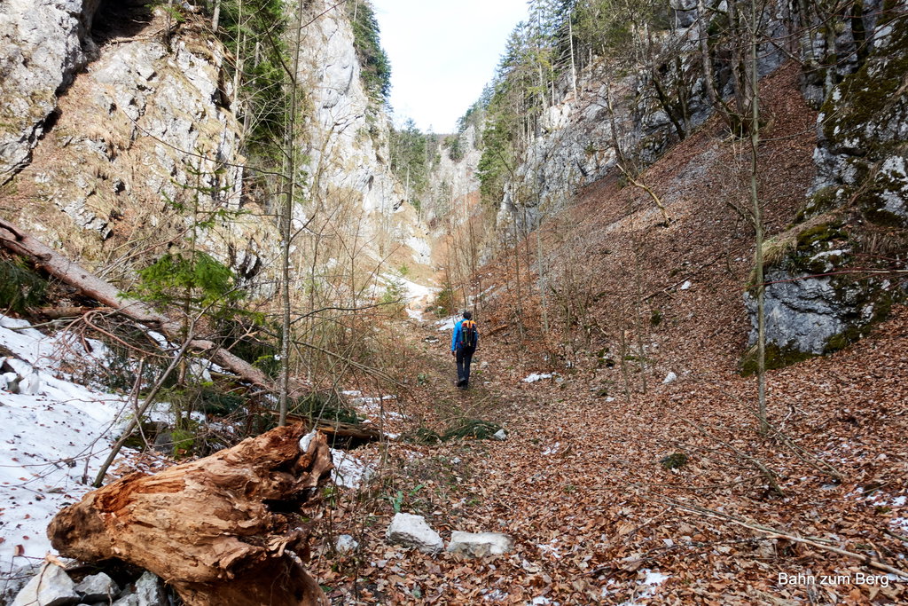 Unter den Blättern liegt Schnee