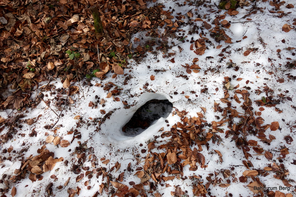 Ohne Schneeschuhe kann man plötzlich tief einbrechen