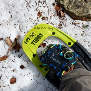 Schneeschuhwanderung über die halbe Rax