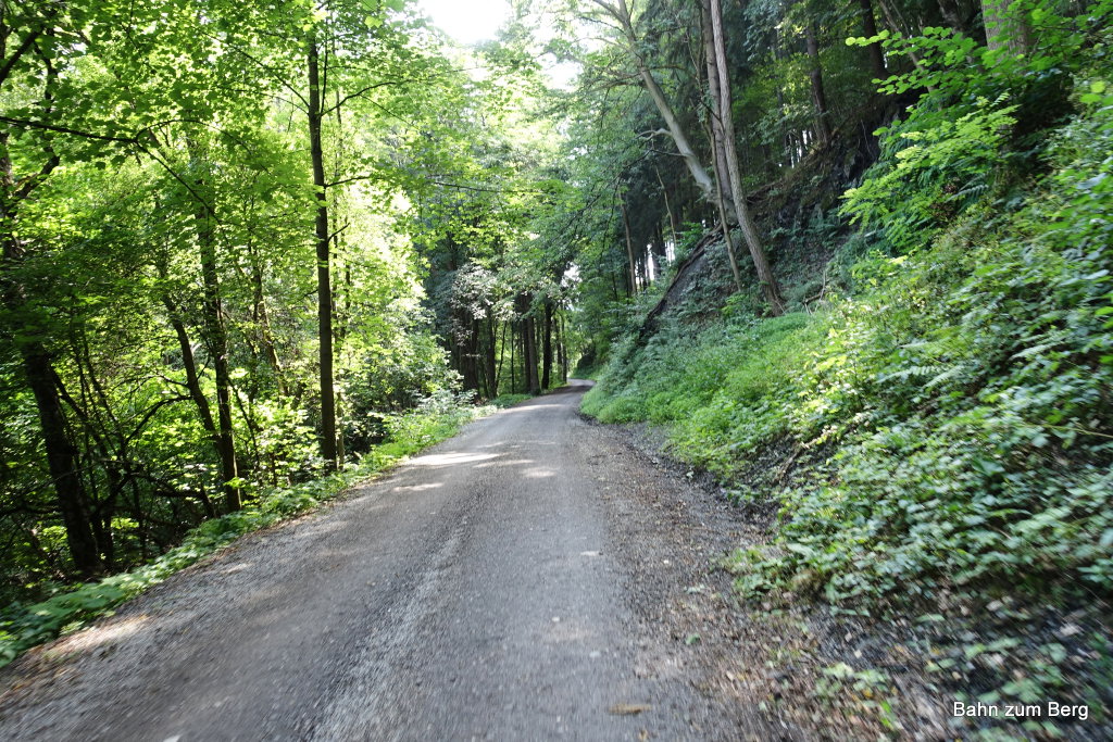 Mountainbikestrecke (Demarstraße) auf den Hochanger