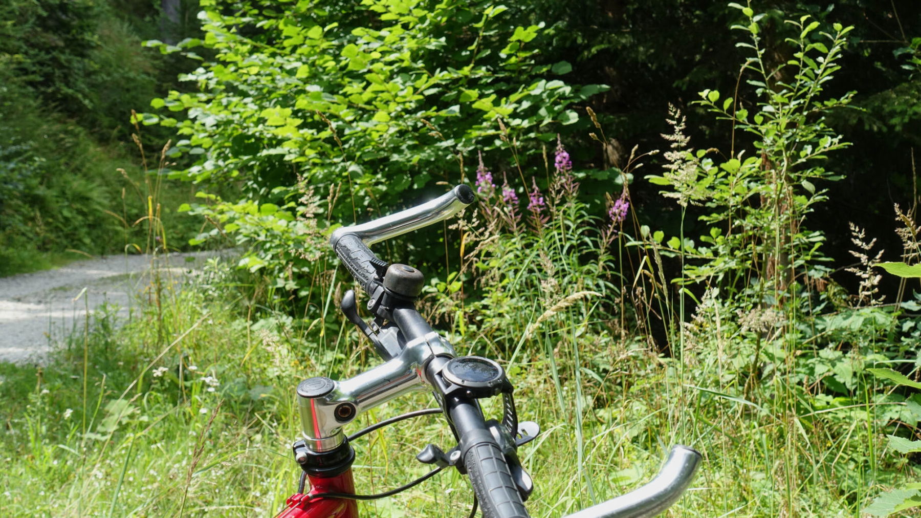 Mountainbiketour auf den Hochanger