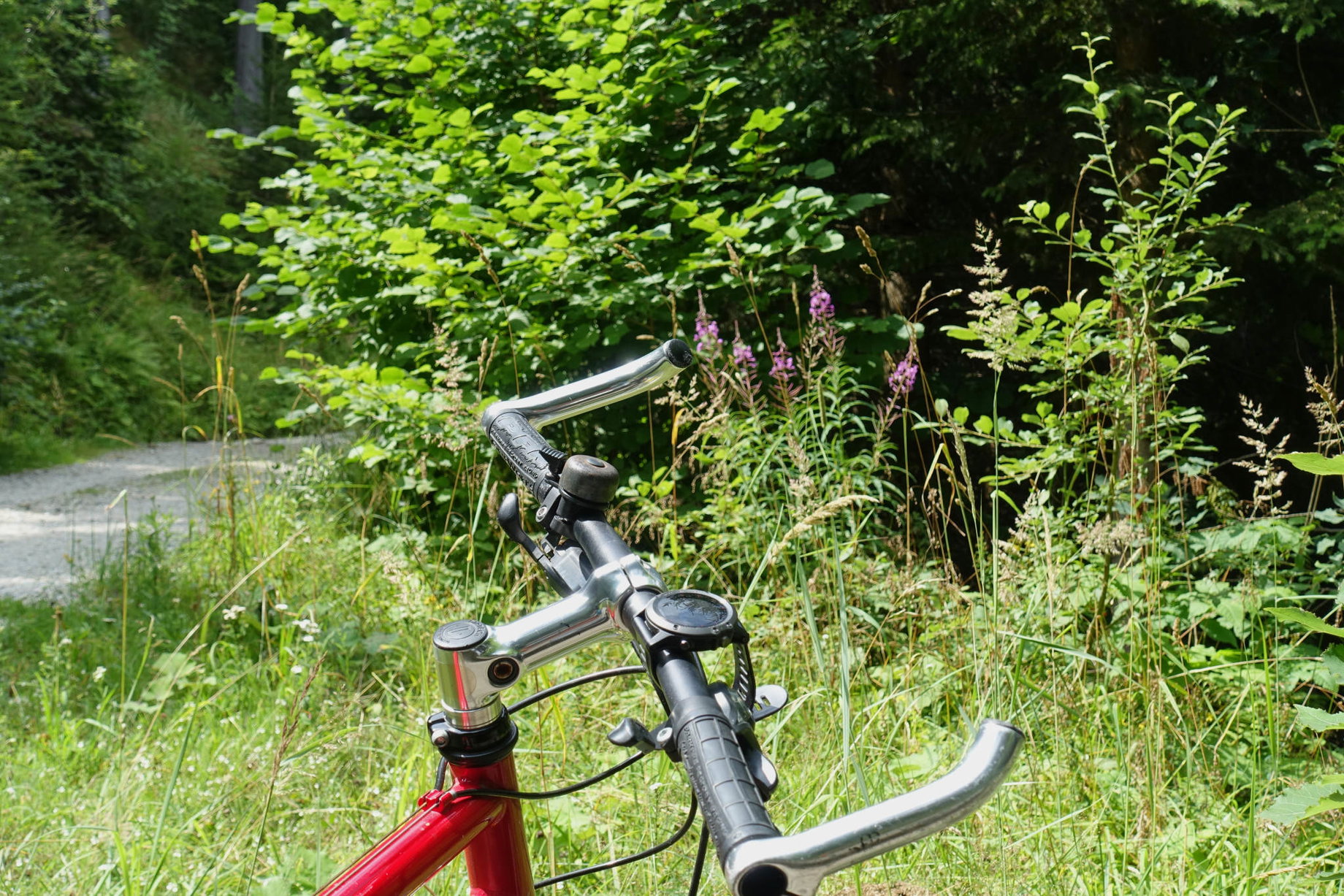 Mountainbiketour auf den Hochanger