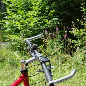 Mountainbike - nur hinunter ist es schneller