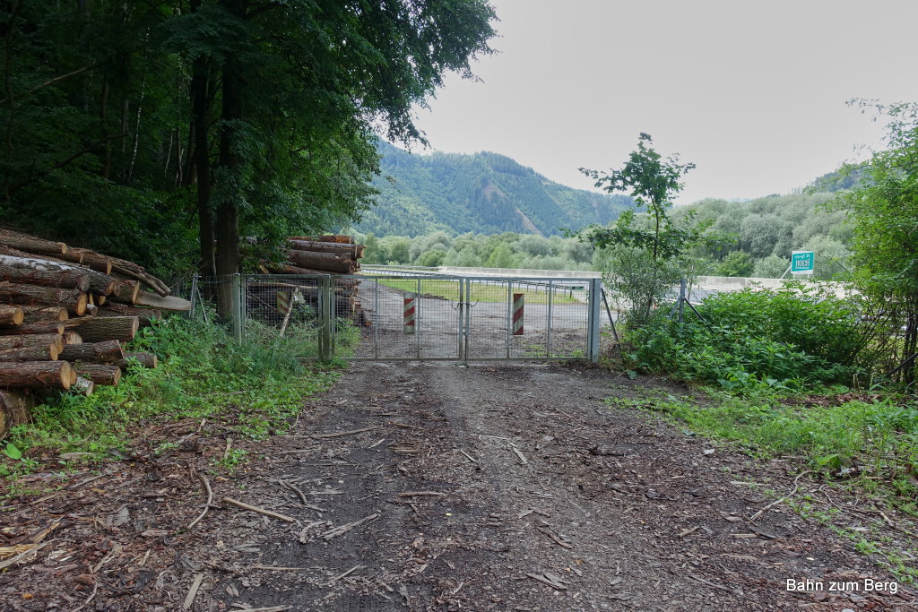 Wildtiergatter am Ende der Mountainbikestrecke