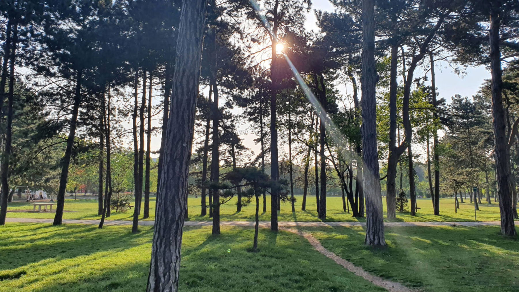 Park. Foto: Christoph Hammerl