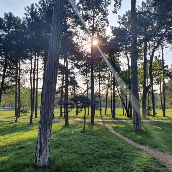 Park. Foto: Christoph Hammerl