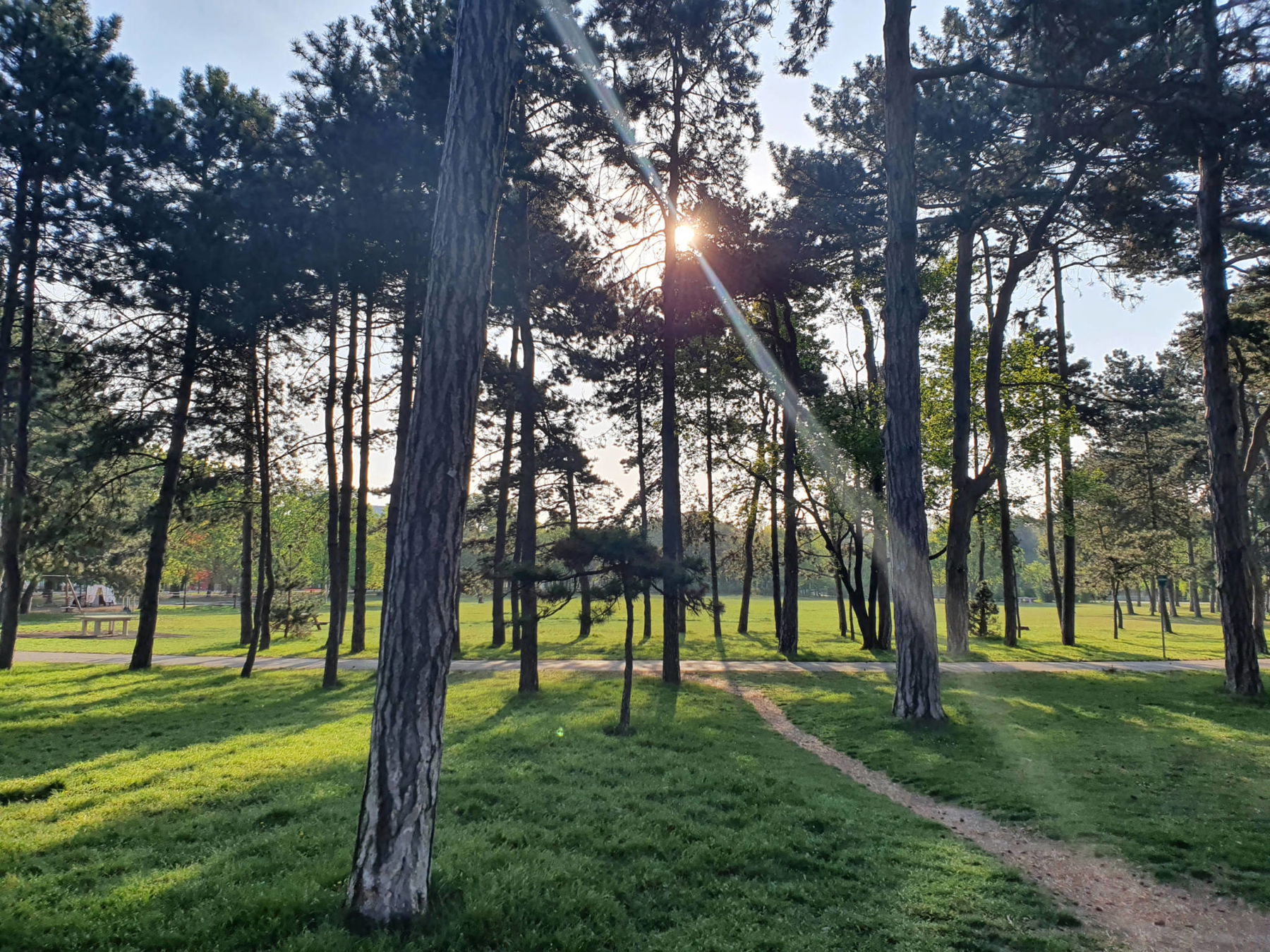 Stadtwanderweg 9 durch den Prater