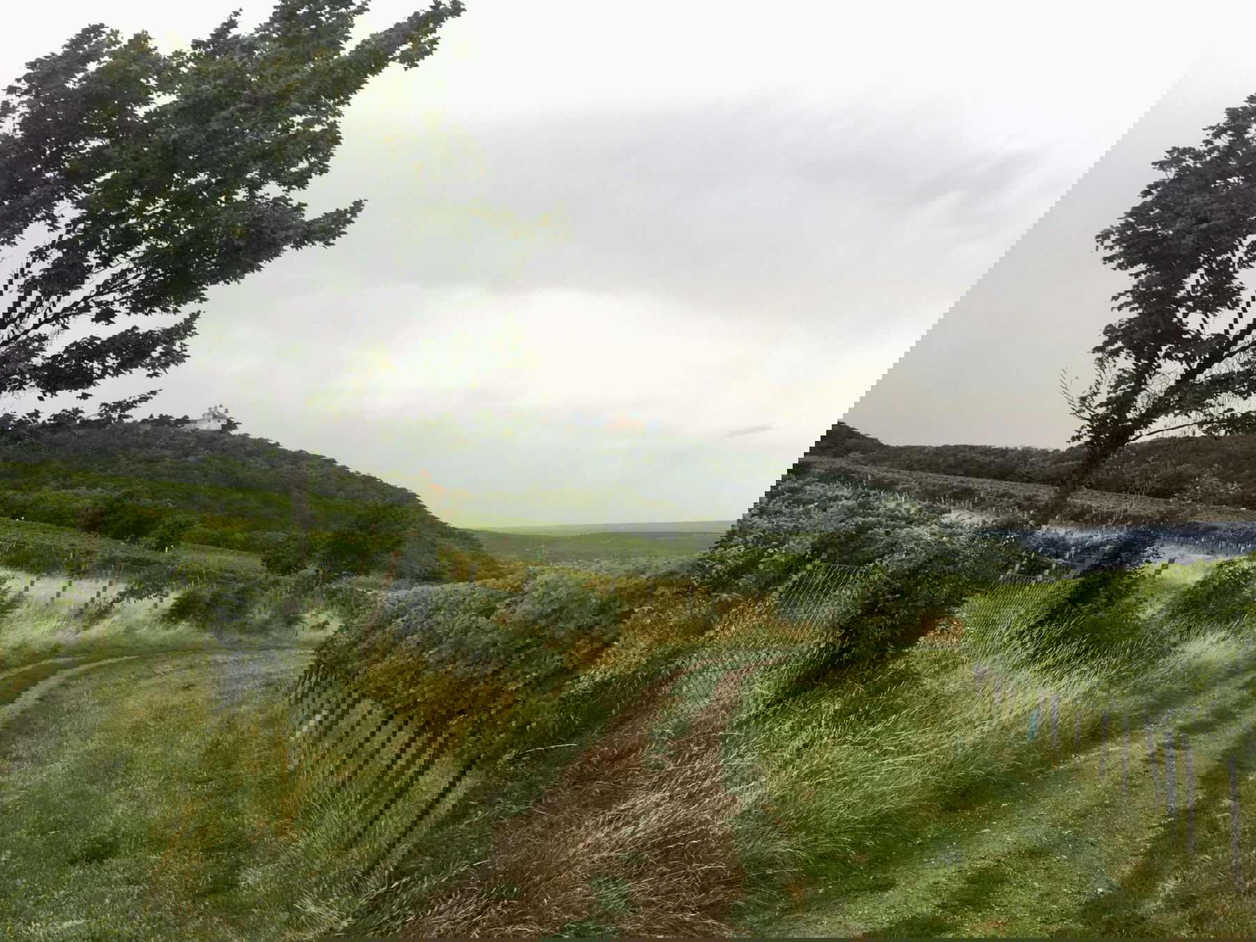 Stadtwanderweg 1A Leopoldsberg