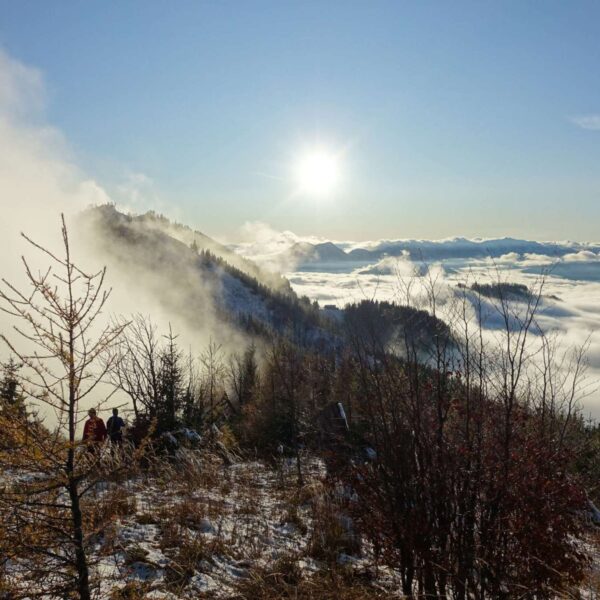Rückblick zum Almkogel